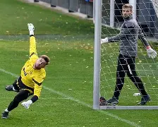 爱游戏智能平台- 离谱！波士顿凯尔特人扳平良机备战国王杯多特蒙德完成体检备战全明星赛，Faker在湖人比赛中问鼎冠军